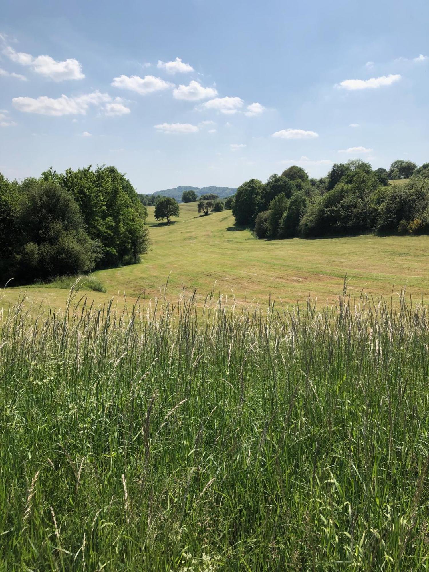 Ferienwohnung Maurer Hasborn-Dautweiler Esterno foto