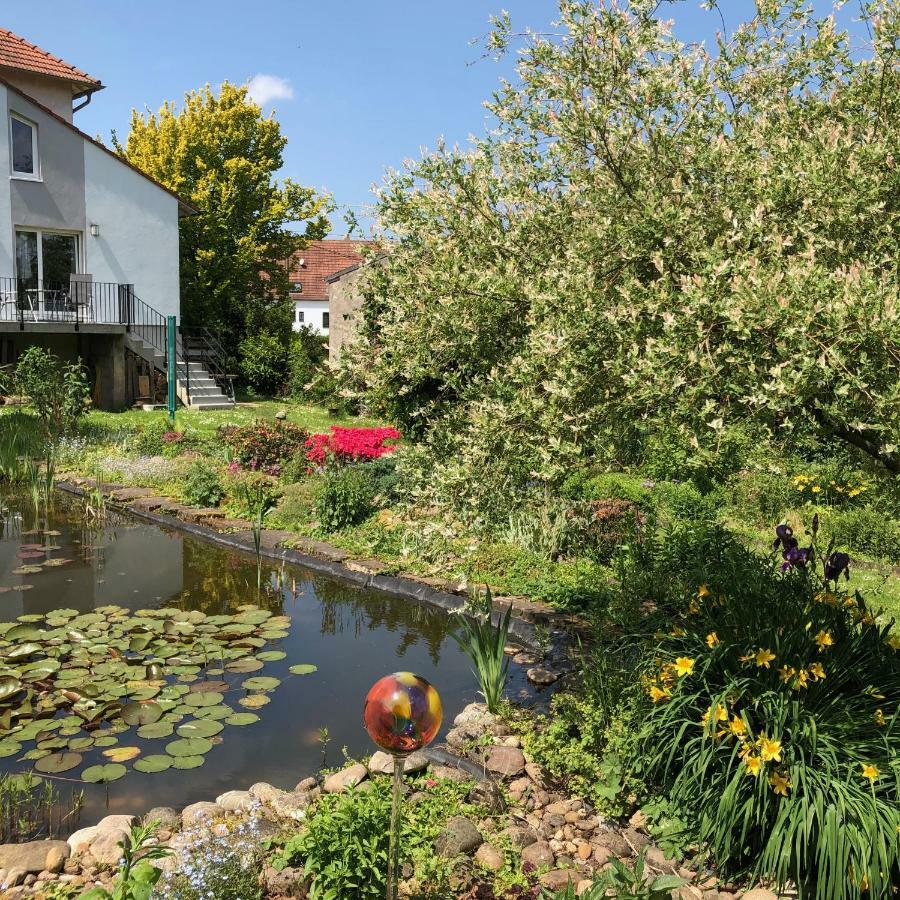 Ferienwohnung Maurer Hasborn-Dautweiler Esterno foto