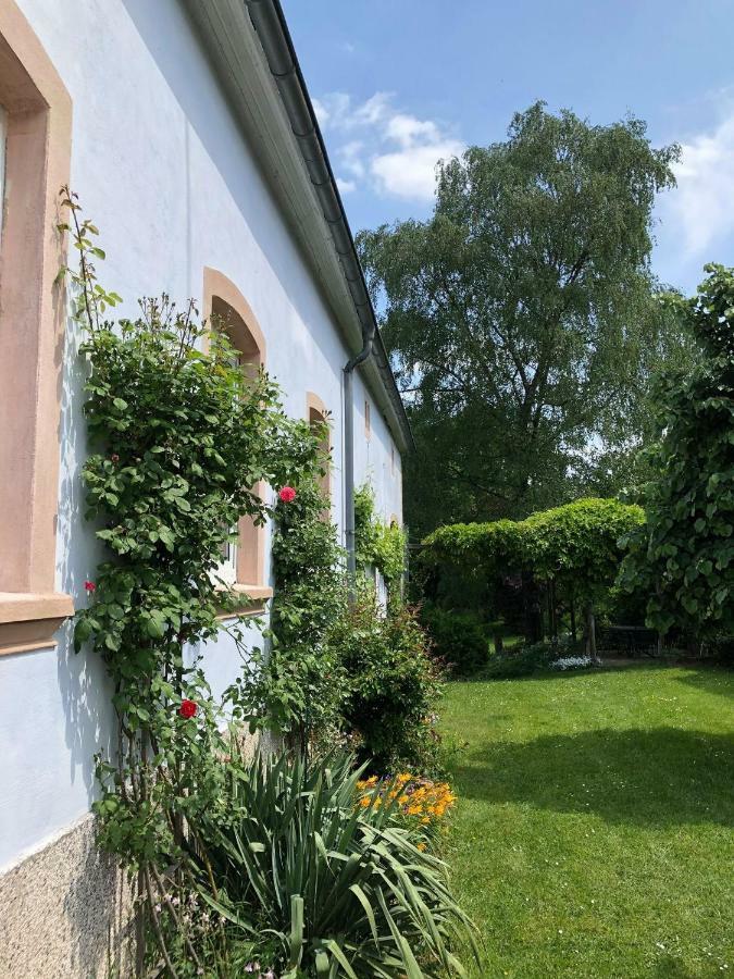 Ferienwohnung Maurer Hasborn-Dautweiler Esterno foto
