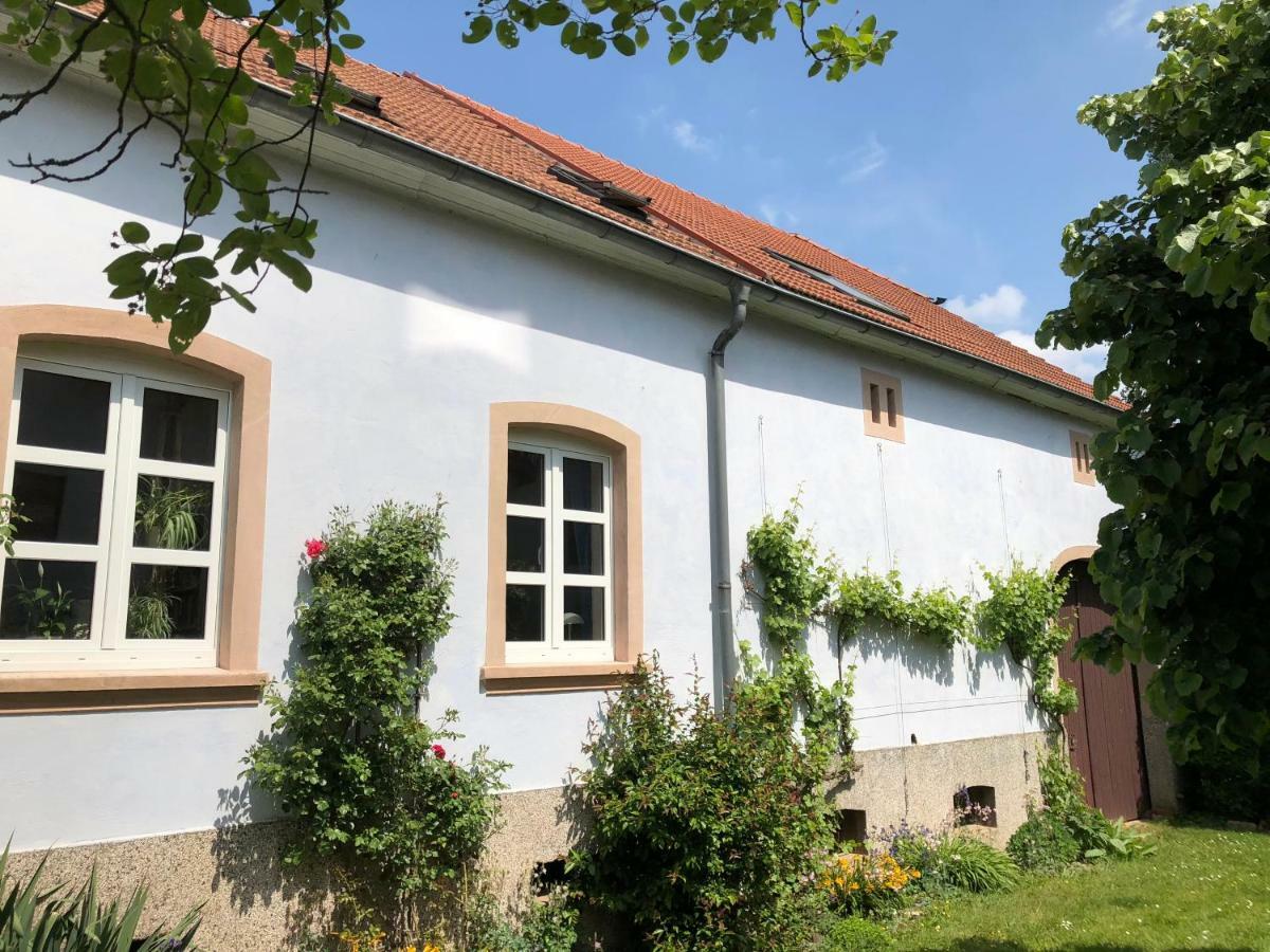 Ferienwohnung Maurer Hasborn-Dautweiler Esterno foto