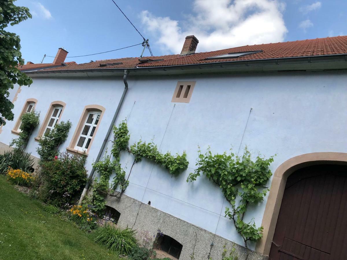 Ferienwohnung Maurer Hasborn-Dautweiler Esterno foto